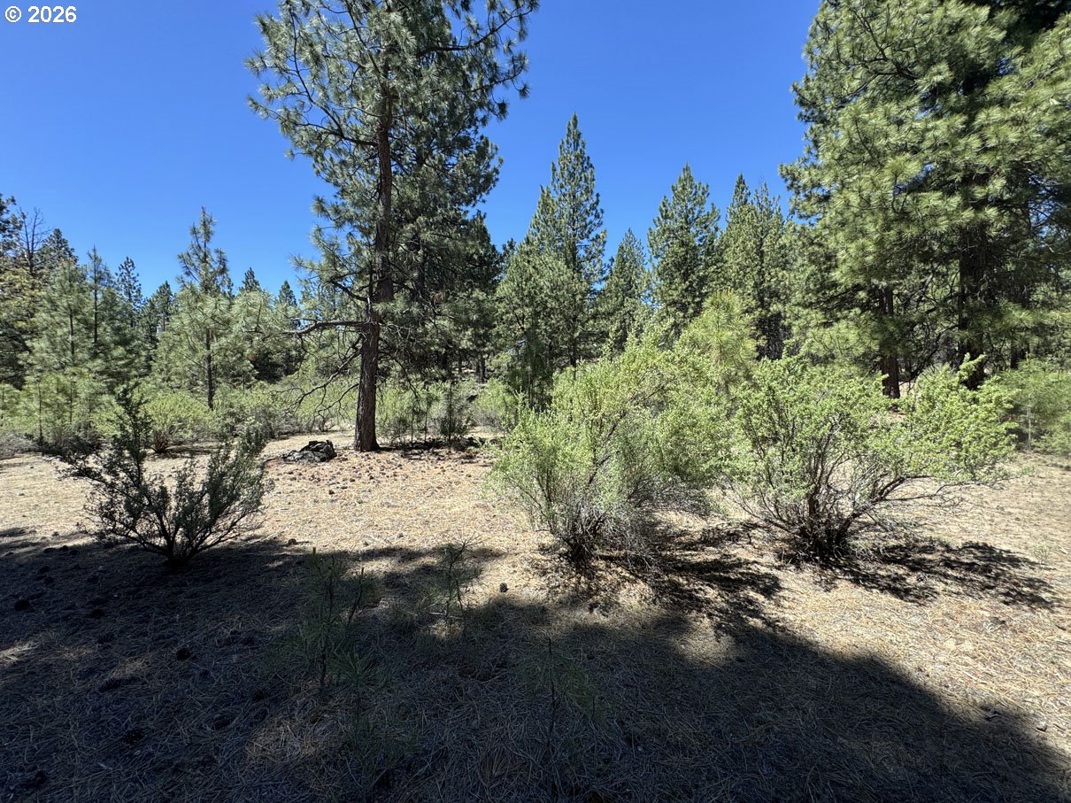 Friendship Drive, Unit 15 Chiloquin, OR 97624 - Photo 30 of 41