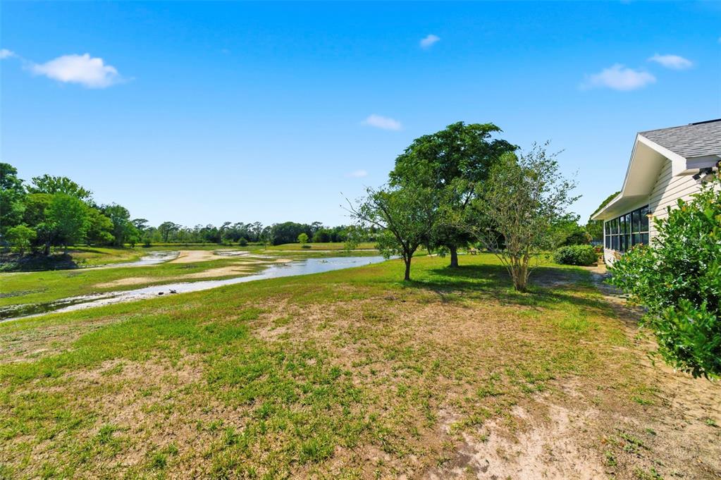7457 Galloway Road Weeki Wachee, FL 34613 - Photo 41 of 54