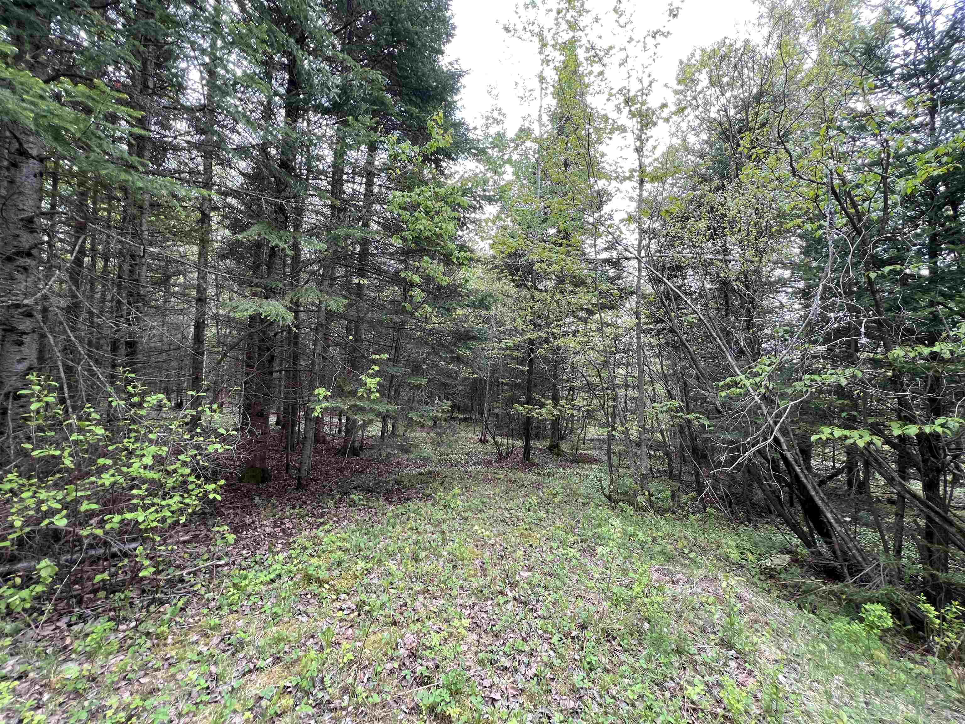 870 Gaudette Road Norton, VT 05907 - Photo 4 of 8