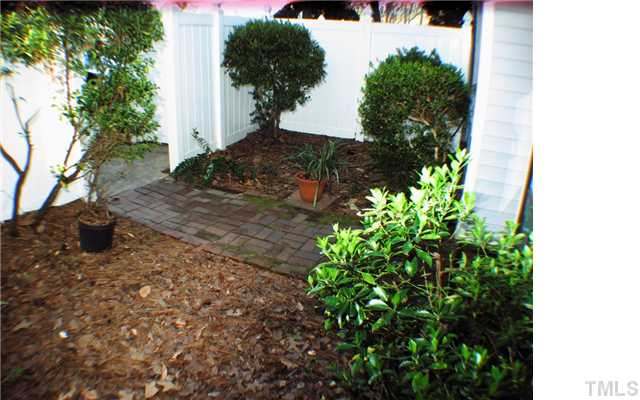 165 Newton Road Raleigh, NC 27615 - Photo 9 of 10 a view of a yard with plants