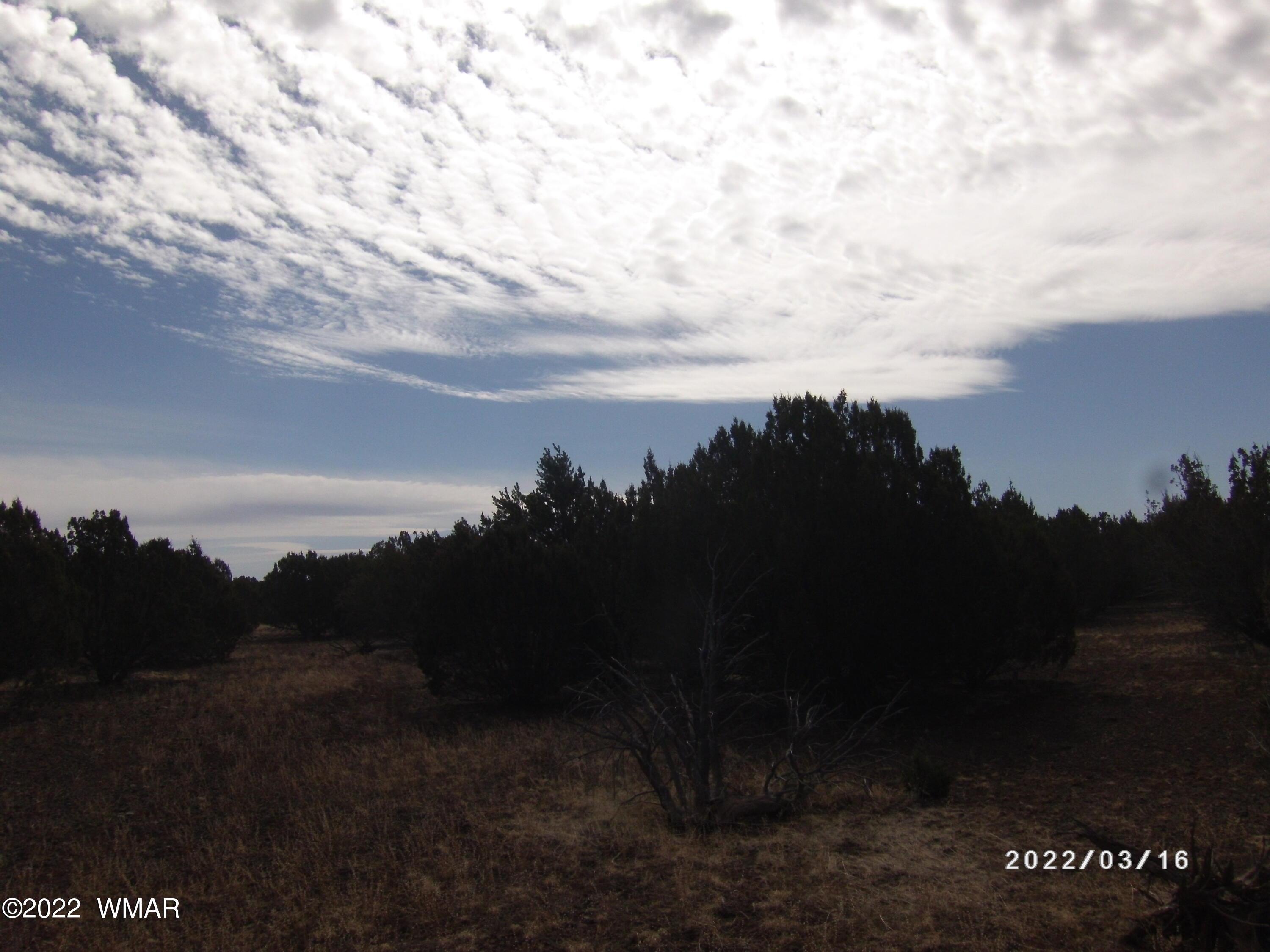 1227 Lodge Pole Road Show Low, AZ 85901 - Photo 1 of 5