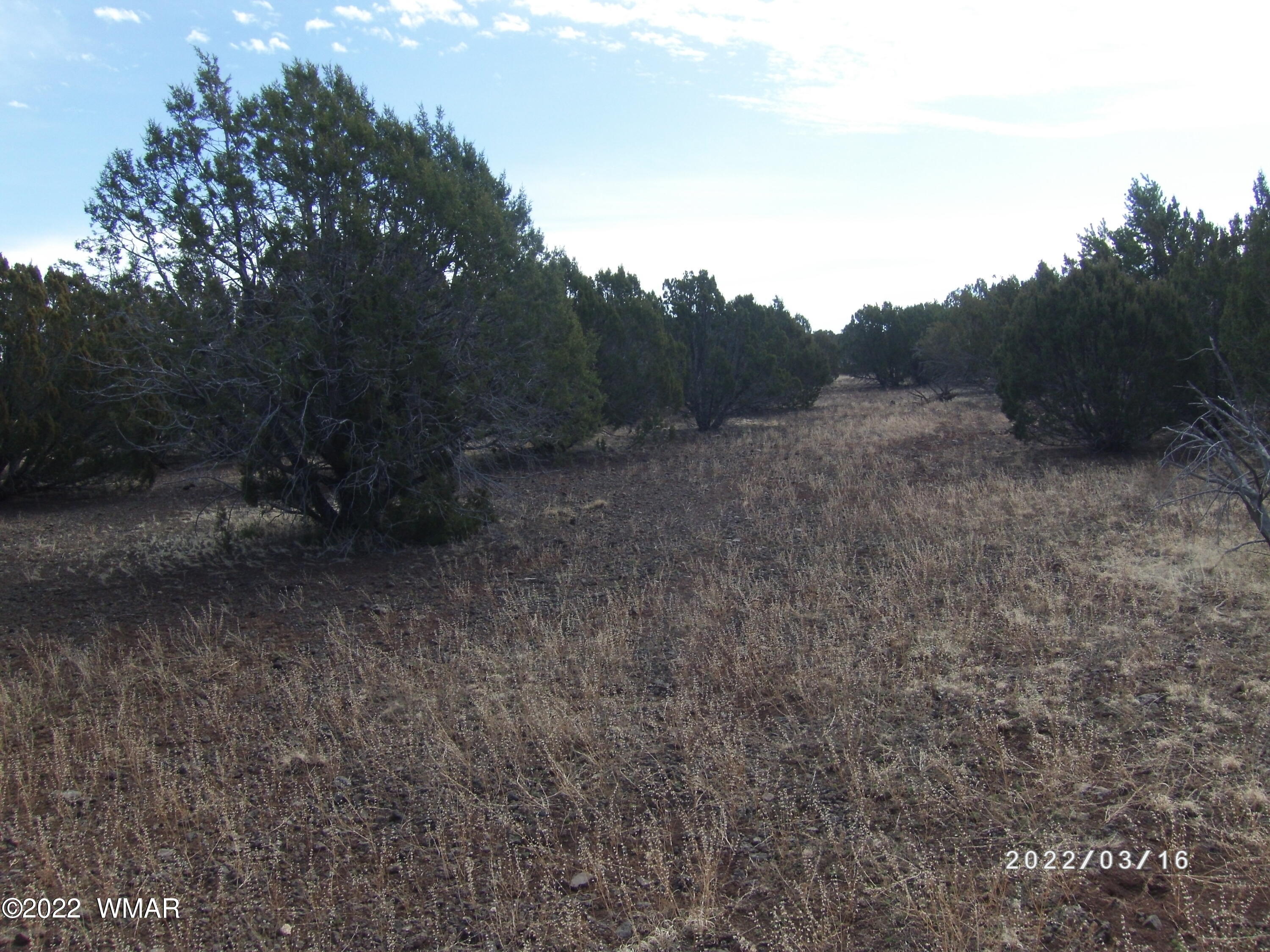 1227 Lodge Pole Road Show Low, AZ 85901 - Photo 2 of 5