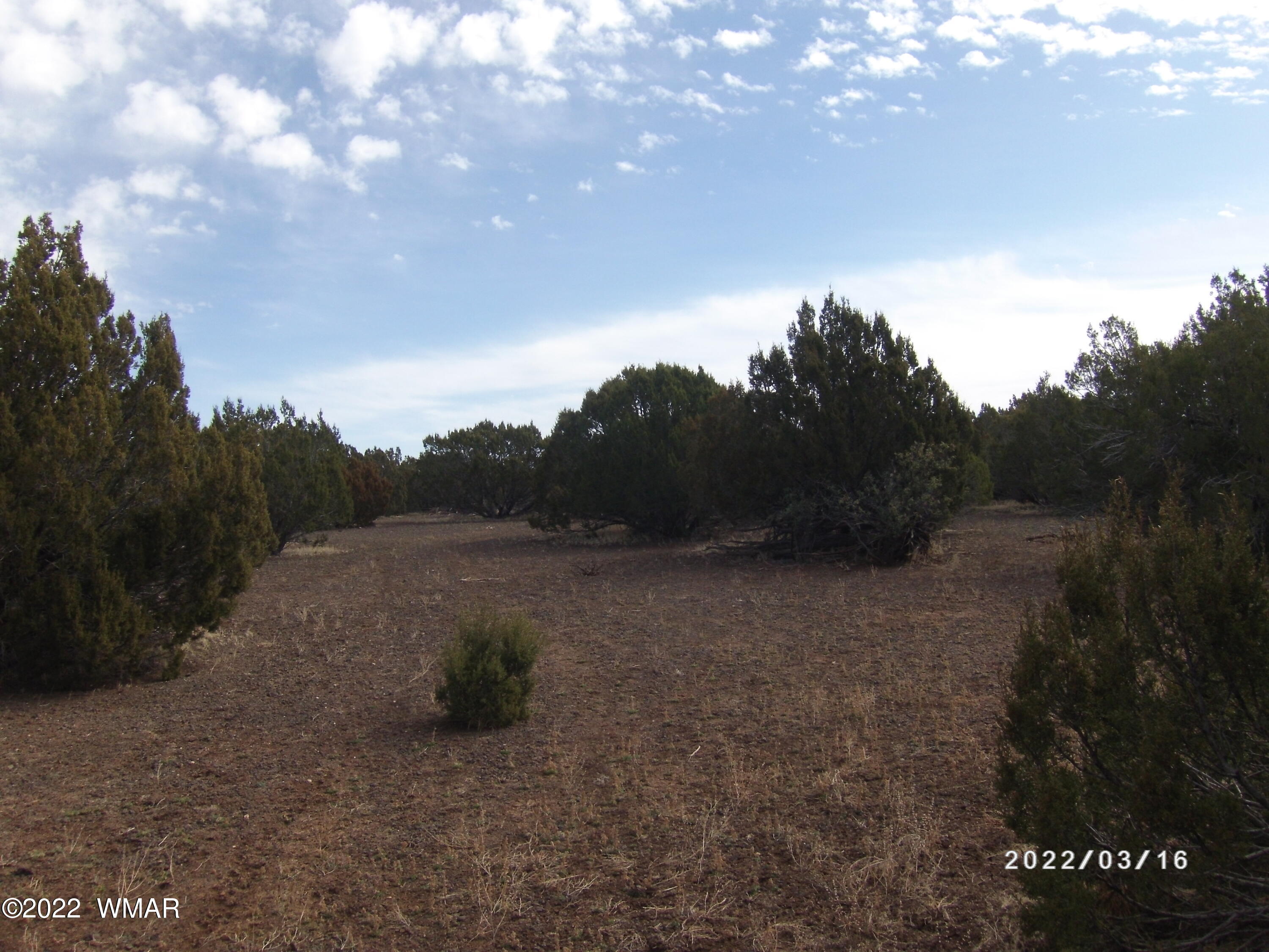 1227 Lodge Pole Road Show Low, AZ 85901 - Photo 3 of 5