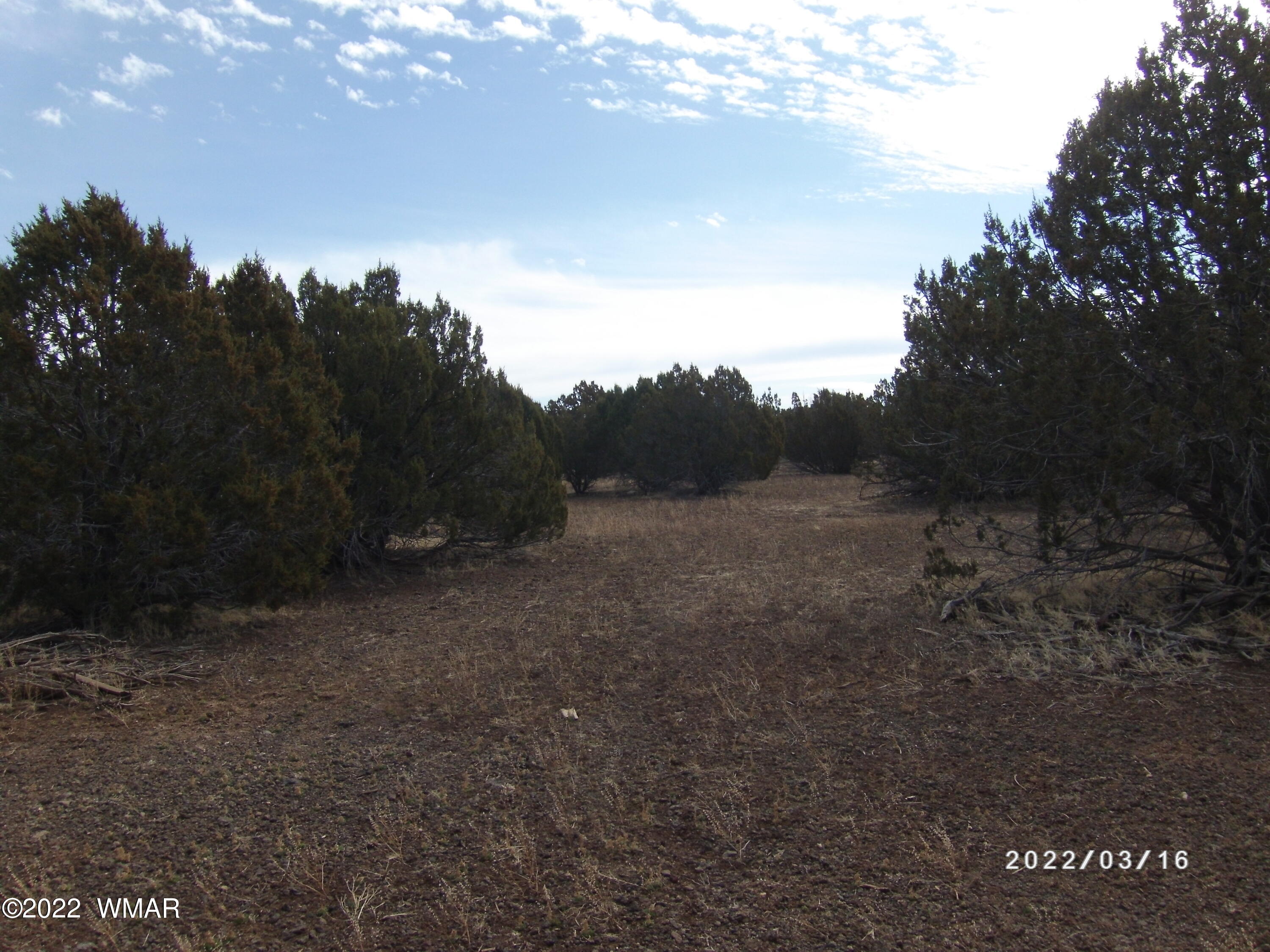 1227 Lodge Pole Road Show Low, AZ 85901 - Photo 5 of 5