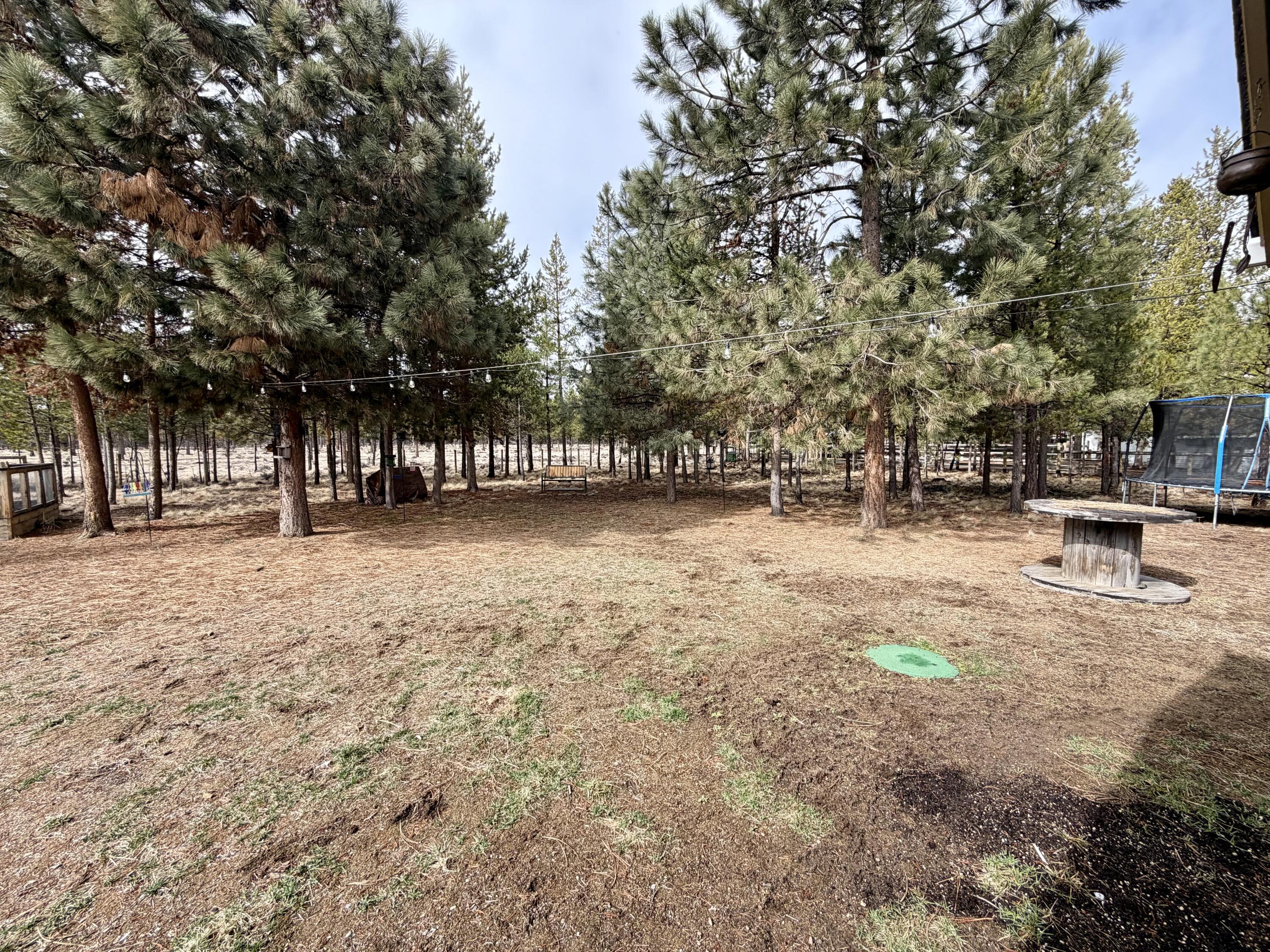 52495 Lost Ponderosa Road La Pine, OR 97739 - Photo 32 of 32 IMG_0657