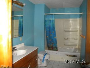 242 Cedar Lakes Drive Ripley, WV 25271 - Photo 3 of 6 bathroom