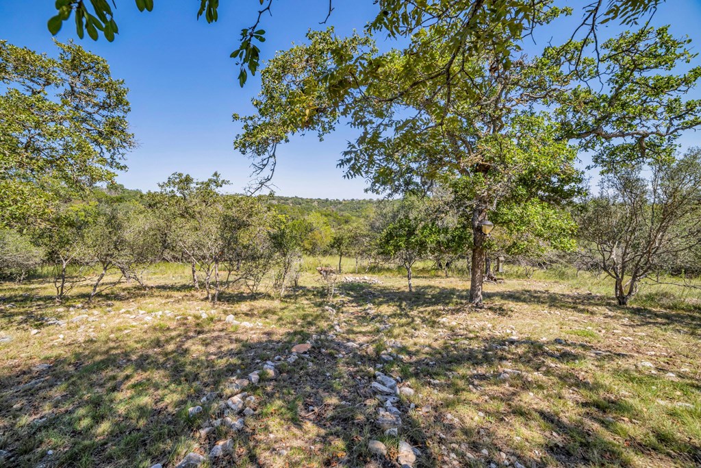 117 Ancient Coast Road Fredericksburg, TX 78624 - Photo 22 of 24