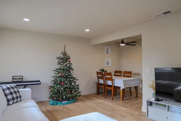 a livingroom with a potted plant and furniture