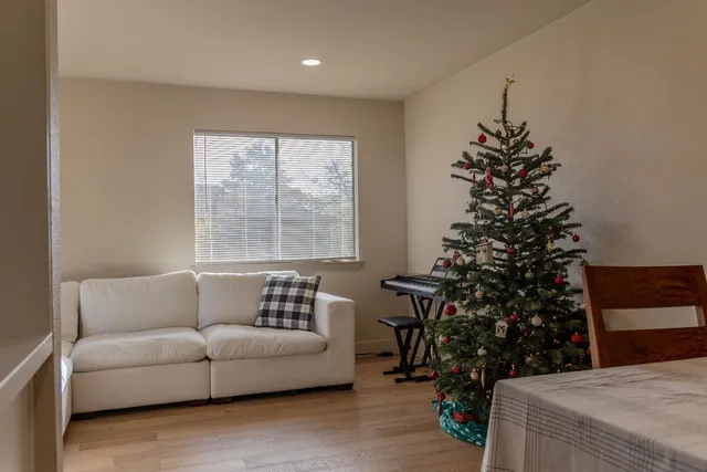 a living room with furniture and a potted plant