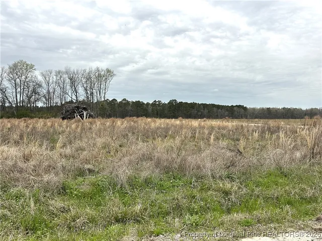 $110,000 | Costner Road, Lumber Bridge, NC 28357