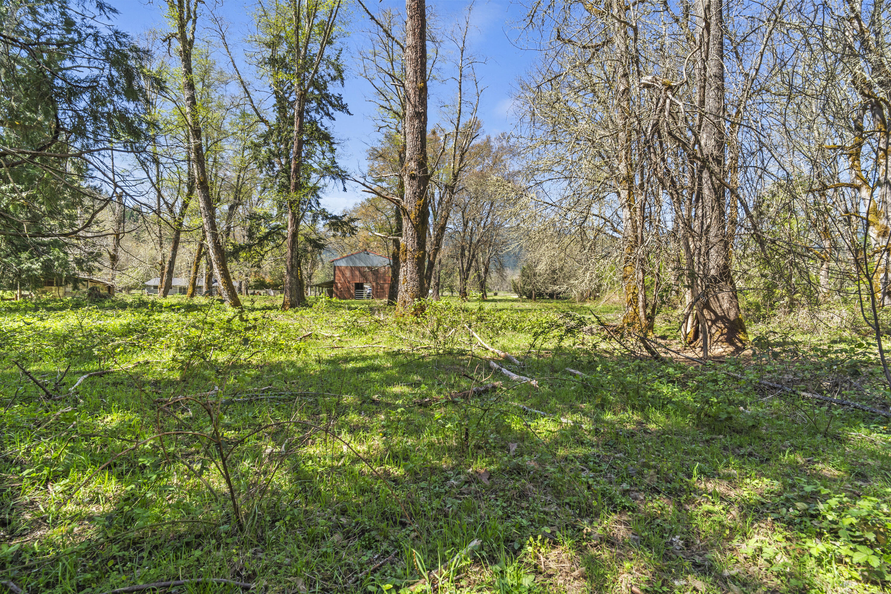 2800 Cedar Flat Road Williams, OR 97544 - Photo 35 of 48 2800 Cedar Flat Road- 01