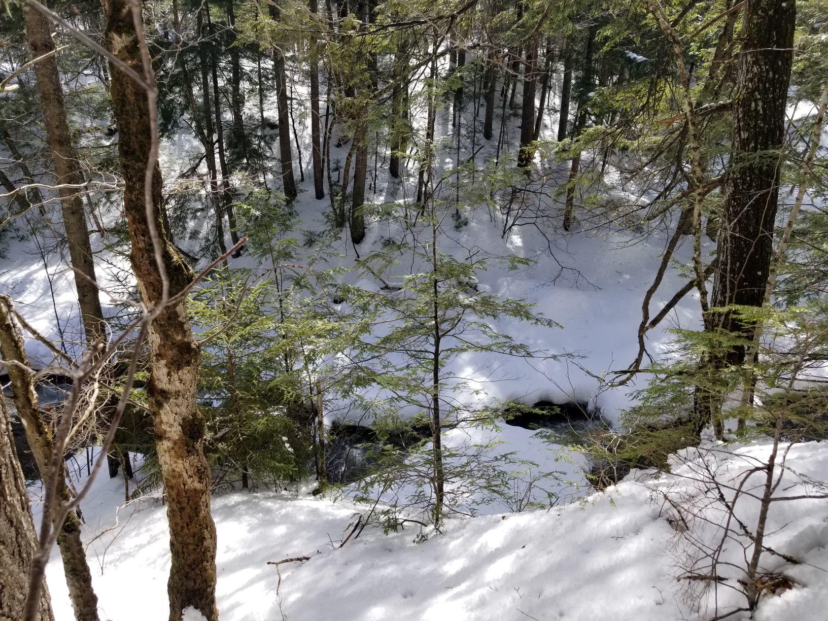 0 Rangeley Road Avon, ME 04966 - Photo 38 of 62 Mt Blue stream 7