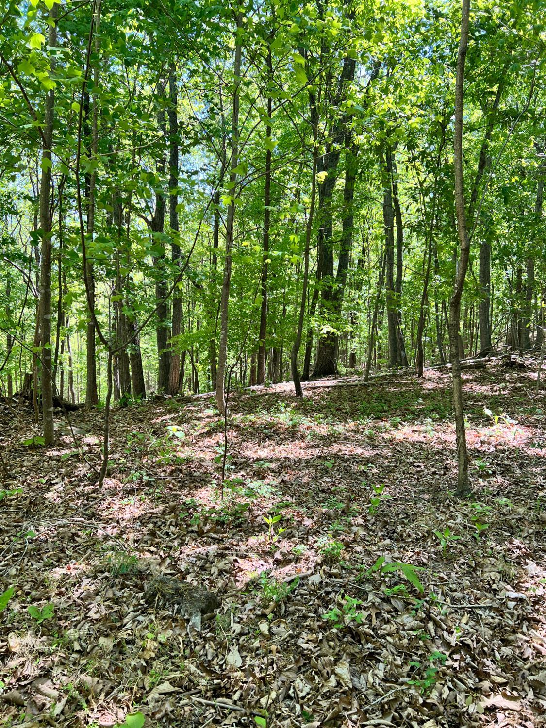 298 Braxton Ridge Road Amherst, VA 24521 - Photo 63 of 65