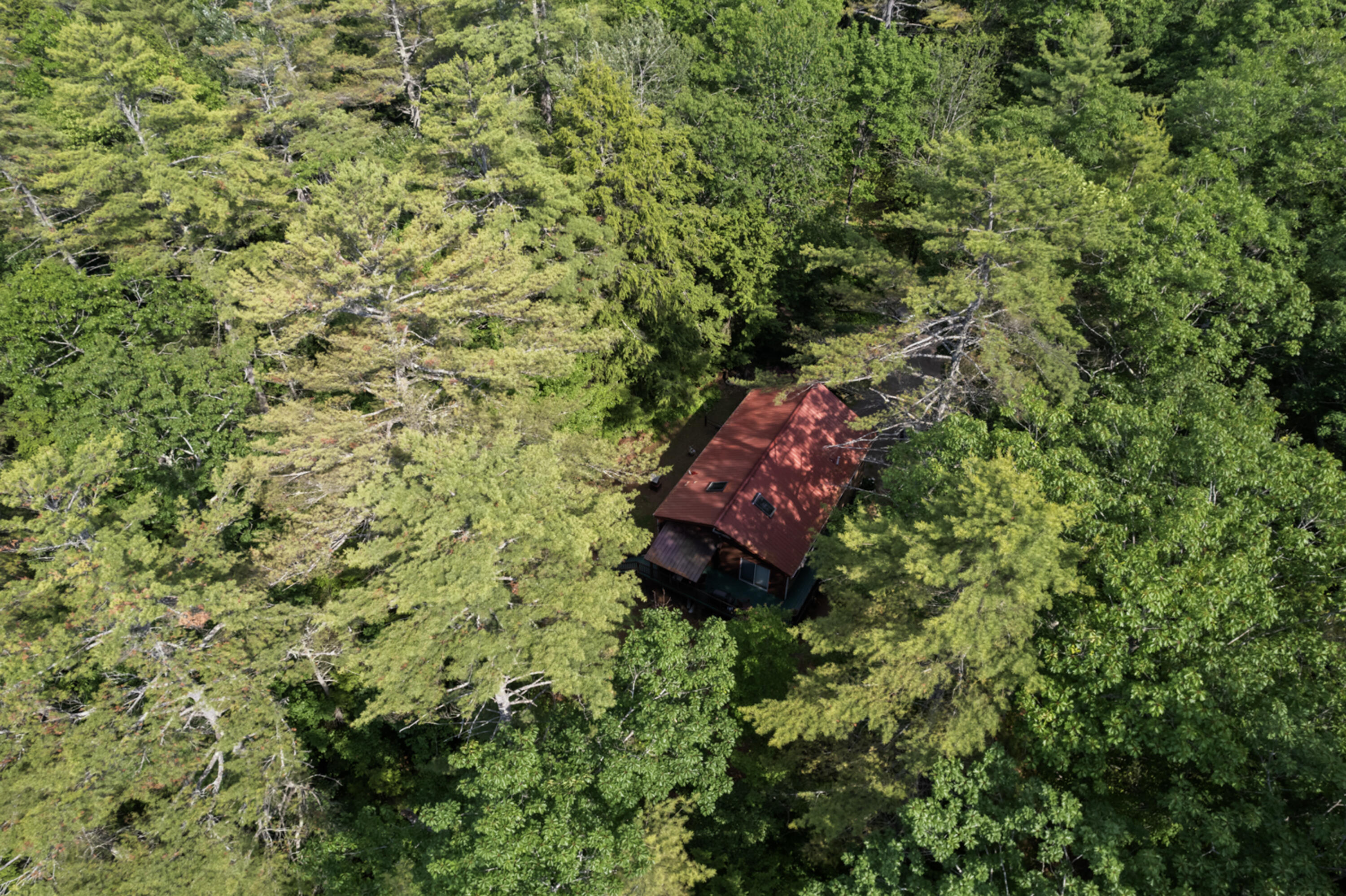 175 Buck N Doe Trail Augusta, ME 04330 - Photo 65 of 84 175 Buck N Doe Trail_164