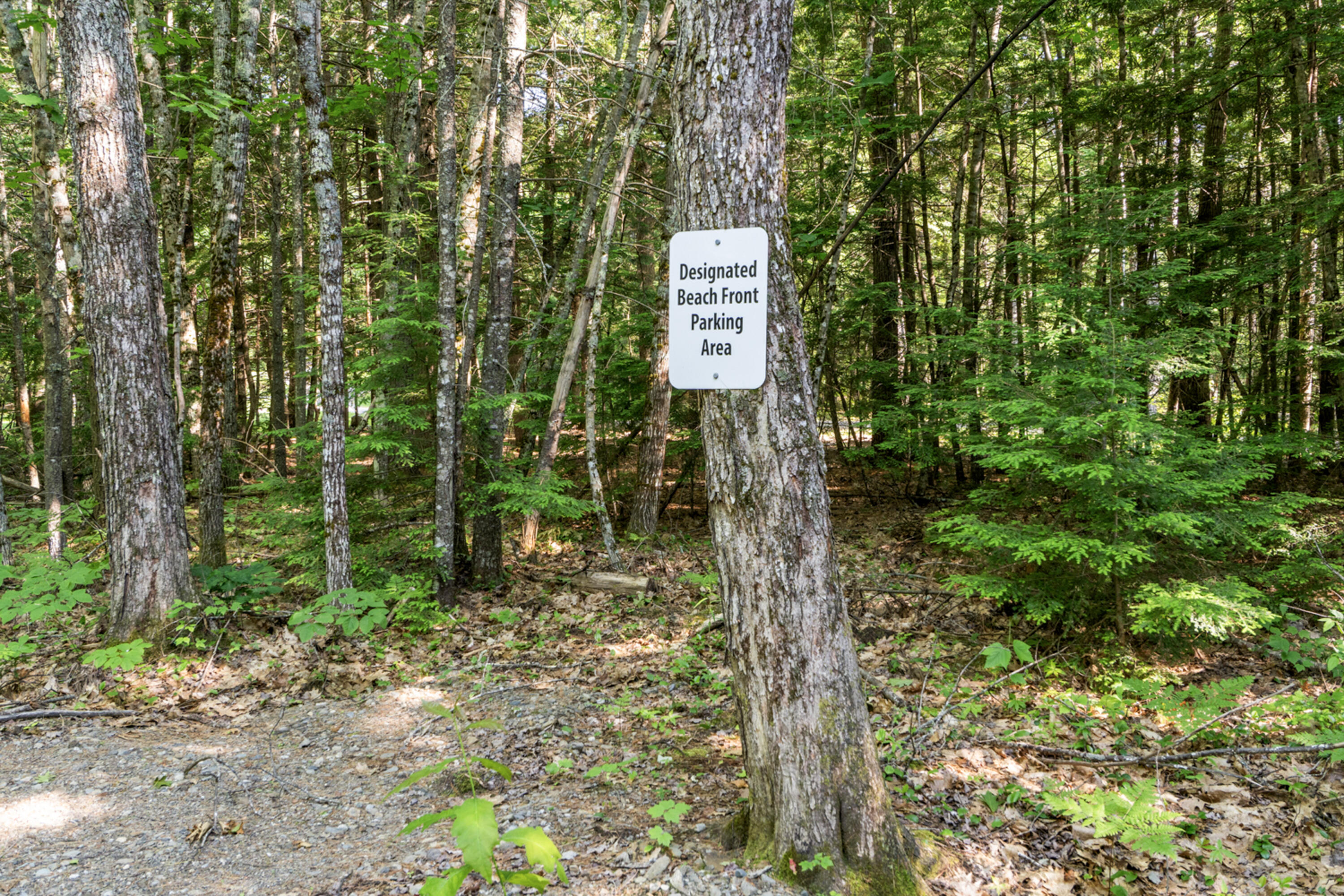 175 Buck N Doe Trail Augusta, ME 04330 - Photo 78 of 84 175 Buck N Doe Trail_178