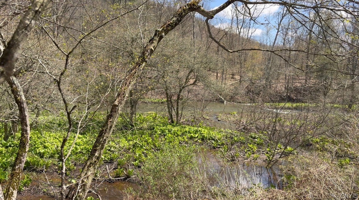 3838 Union Valley Road Taylor, NY 13052 - Photo 2 of 14 Marsh/wetlands that are on the NE of back property