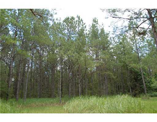 Na Ellis Hodge Road Lucedale, MS 39452 - Photo 3 of 4 Additional Photo