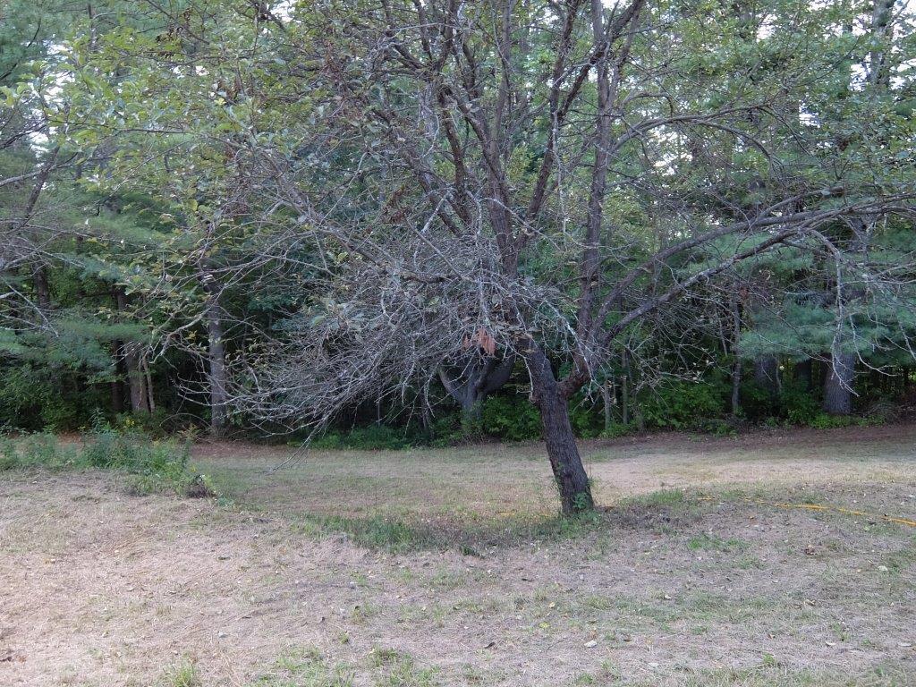 16 Hayfield Road Biddeford, ME 04005 - Photo 22 of 69 DSCF4129