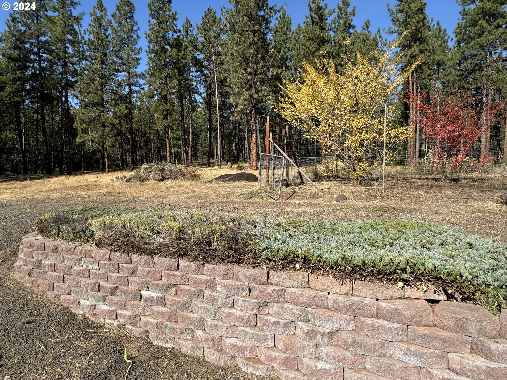 515 Buckshot Road Goldendale, WA 98620 - Photo 12 of 48 Gallery Image 12