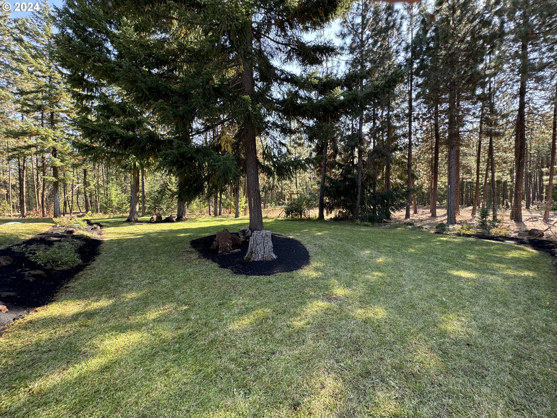 515 Buckshot Road Goldendale, WA 98620 - Photo 4 of 48 Gallery Image 4