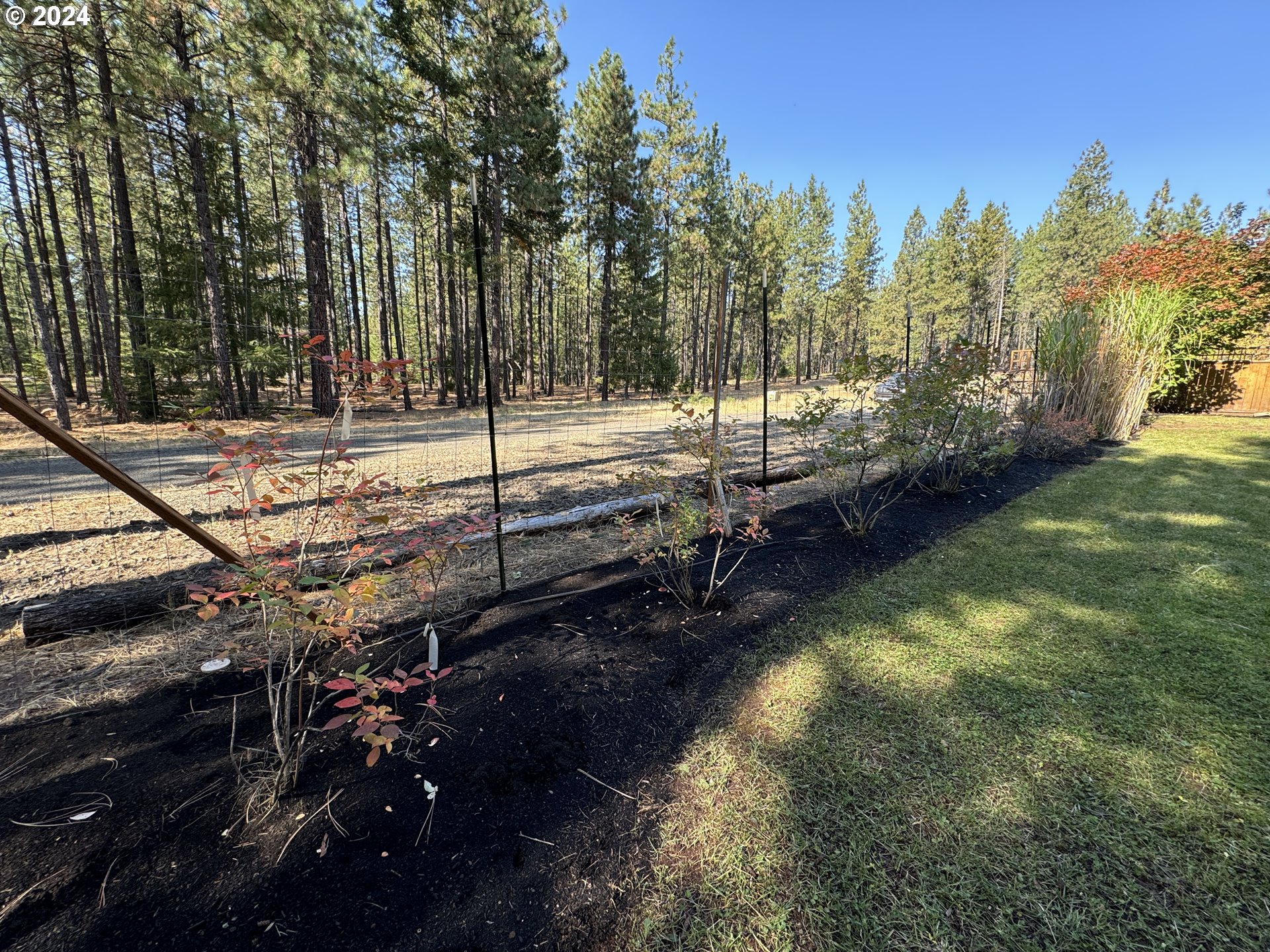515 Buckshot Road Goldendale, WA 98620 - Photo 5 of 48 Gallery Image 5