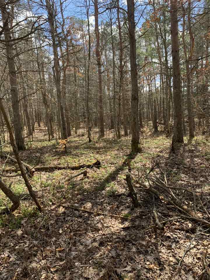 10 East 14 Mile Road Paris, MI 49338 - Photo 6 of 12