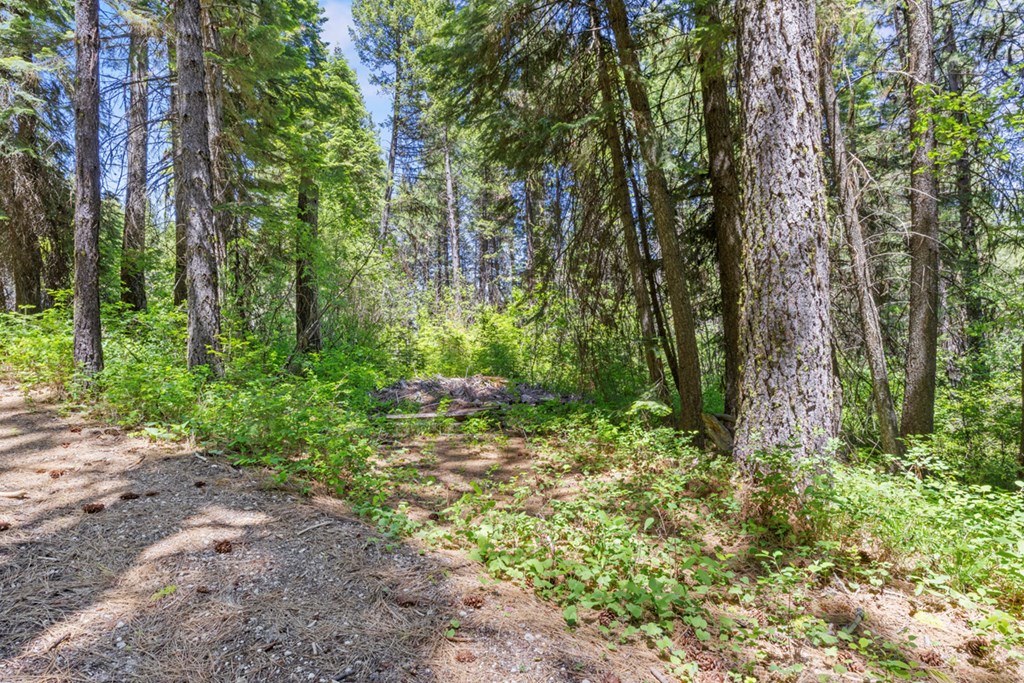 520 Susan Road, Unit 25 Cascade, ID 83611 - Photo 5 of 11 Parking Space