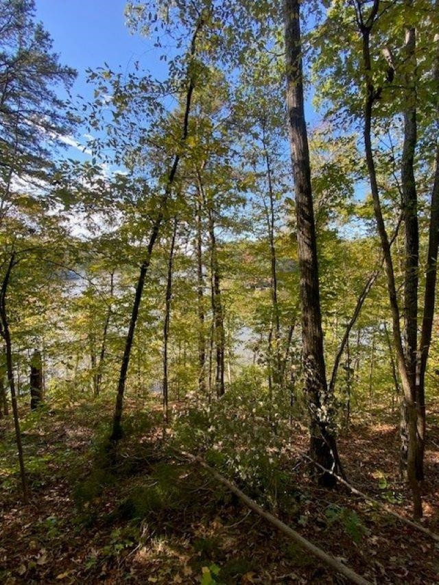 Lot 2 Lake Shore Road Semora, NC 27343 - Photo 1 of 6 Photo 1