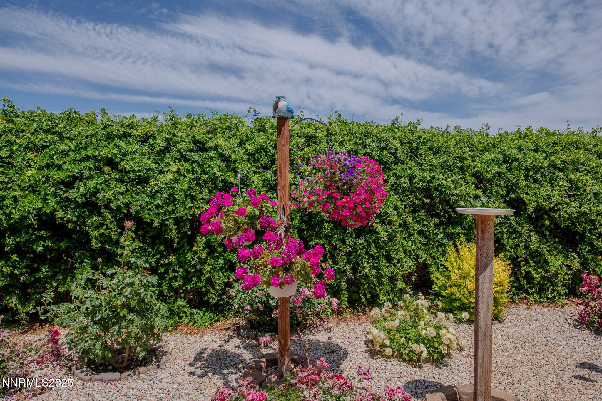 112 Eagle Brook Lane Dayton, NV 89403 - Photo 43 of 48 a picture of flowers