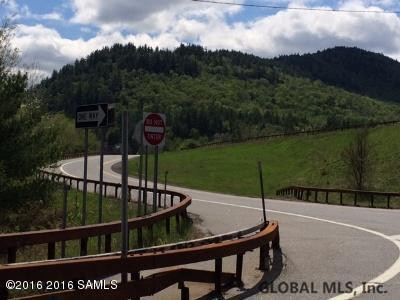 4010 Blue Ridge Road North Hudson, NY 12855 - Photo 11 of 33 Photo 11