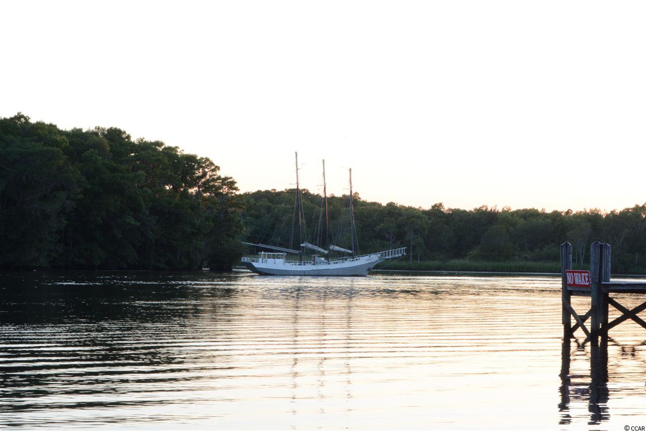 4511 Maypop Trail Murrells Inlet, SC 29576 - Photo 22 of 22 Gallery Image 22