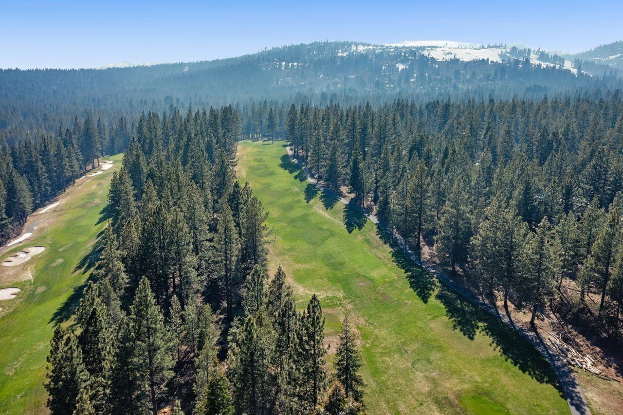 13456 Ski View Loop Truckee, CA 96161 - Photo 19 of 24 a view of a lush green forest with mountains in the background