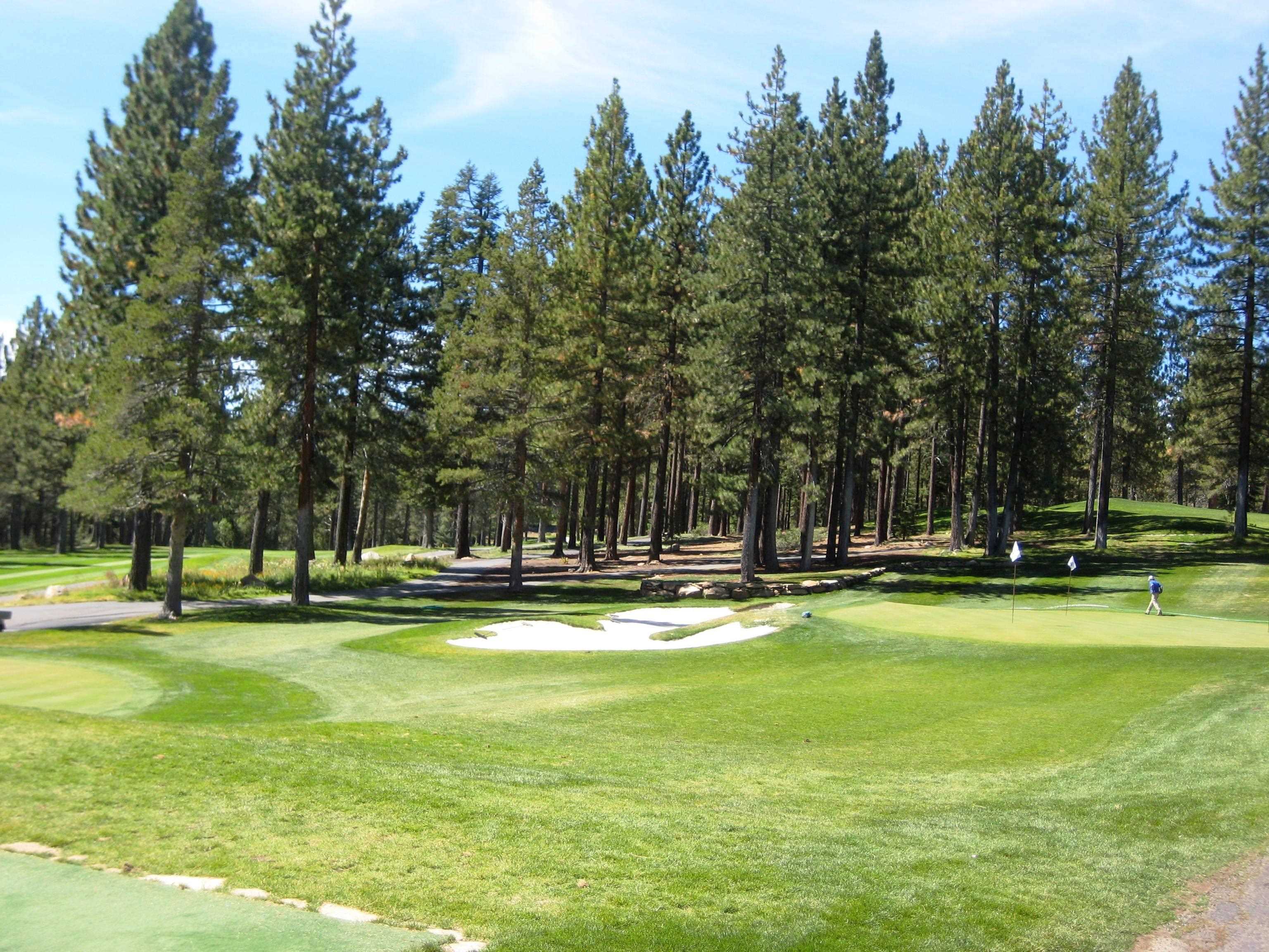 13456 Ski View Loop Truckee, CA 96161 - Photo 22 of 24 a view of a swimming pool with lawn chairs and a big yard