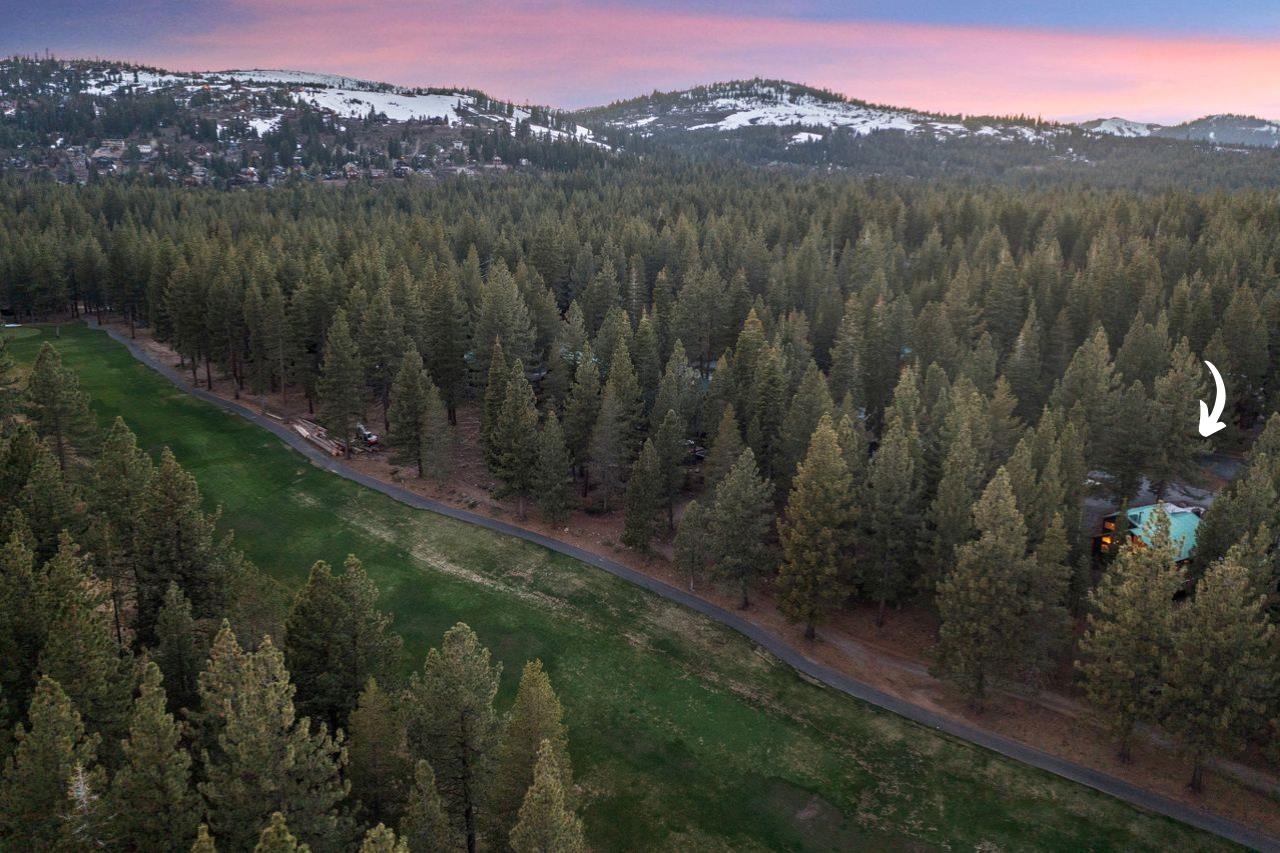13456 Ski View Loop Truckee, CA 96161 - Photo 3 of 24 a view of a lush green hillside and a mountain