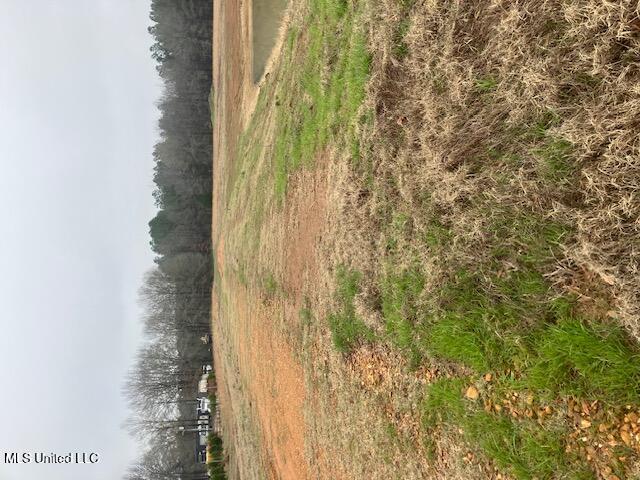 1127 Breedlove Road Michigan City, MS 38647 - Photo 4 of 6 IMG_2204