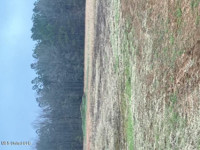 1127 Breedlove Road Michigan City, MS 38647 - Photo 5 of 6 IMG_2205