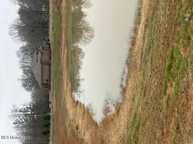 1127 Breedlove Road Michigan City, MS 38647 - Photo 6 of 6 IMG_2207