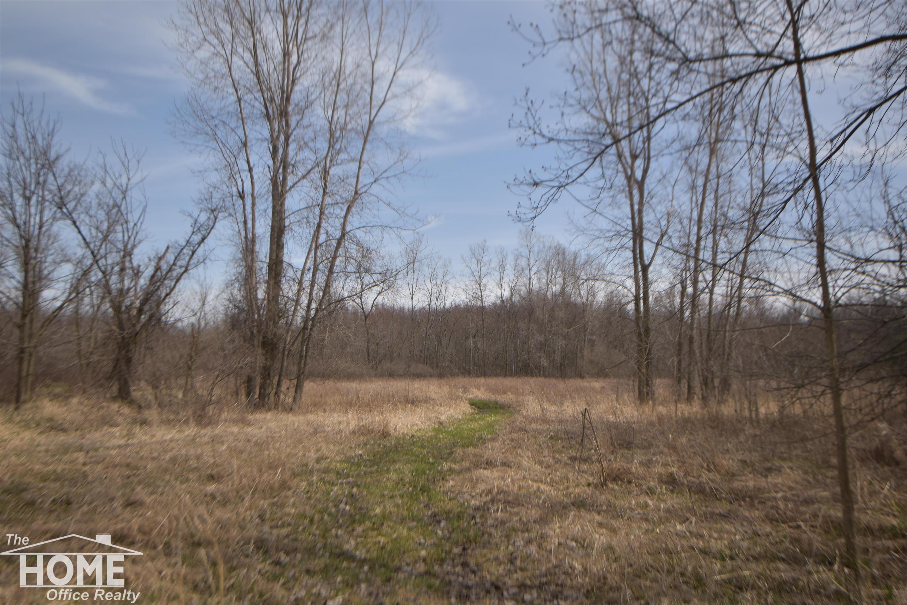 Vac Cork Road Bancroft, MI 48414 - Photo 5 of 46