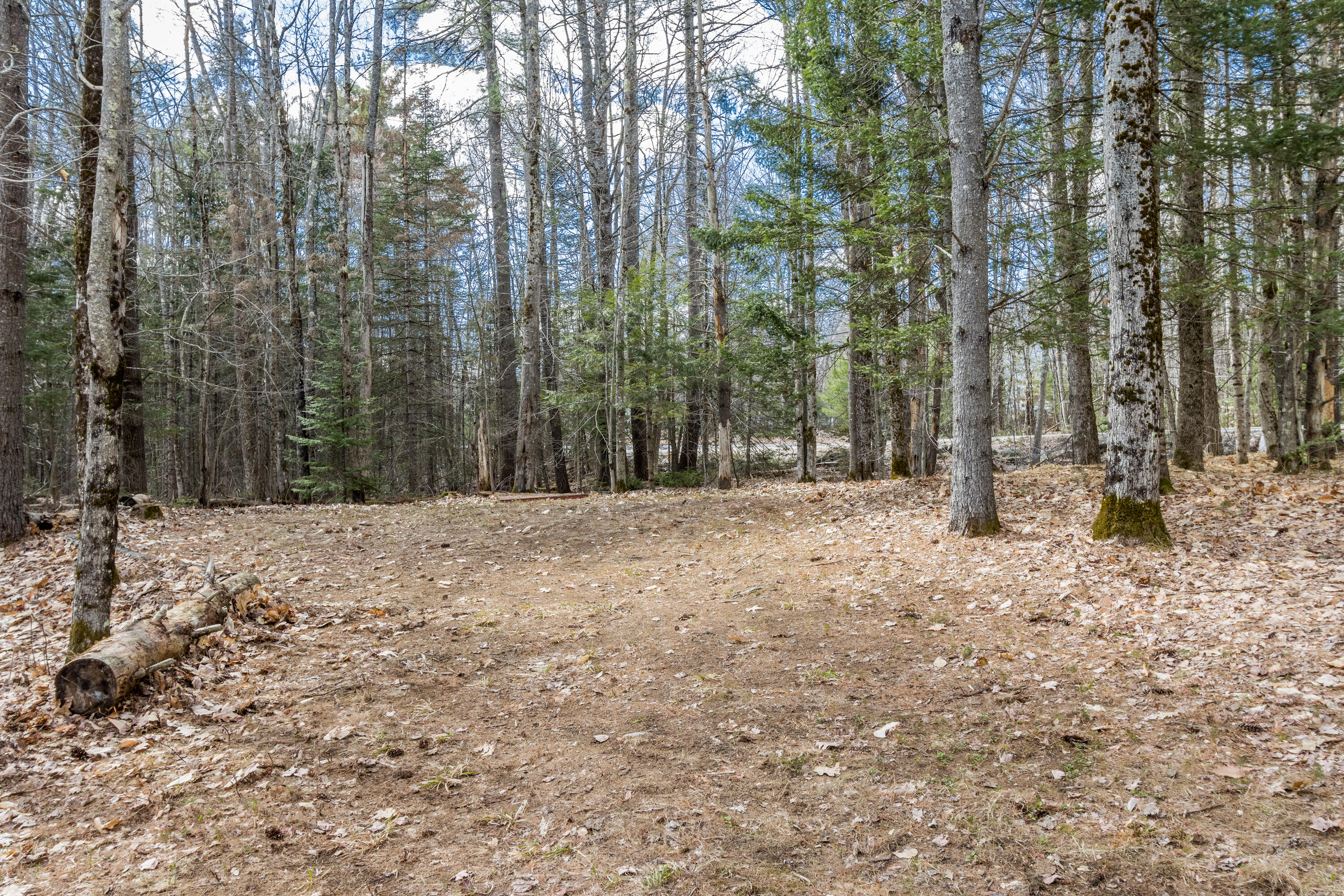 829 Bridgton Road Sebago, ME 04029 - Photo 50 of 55 20260424TM-61017