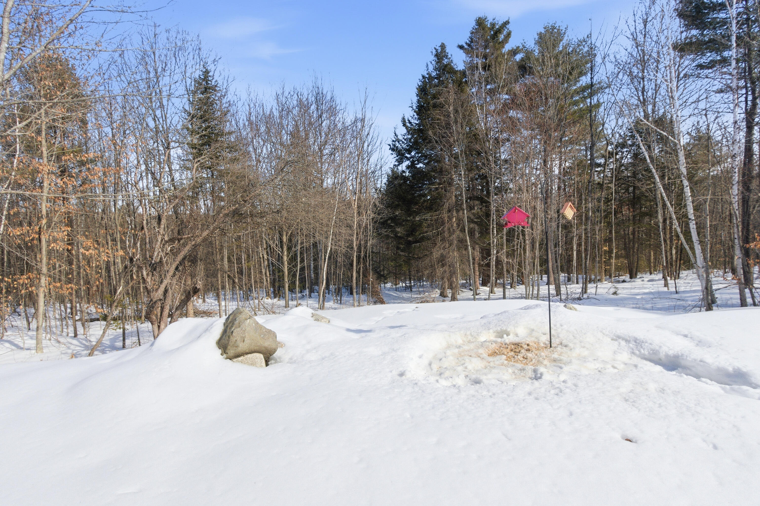 829 Bridgton Road Sebago, ME 04029 - Photo 55 of 55 20260218TM-71043