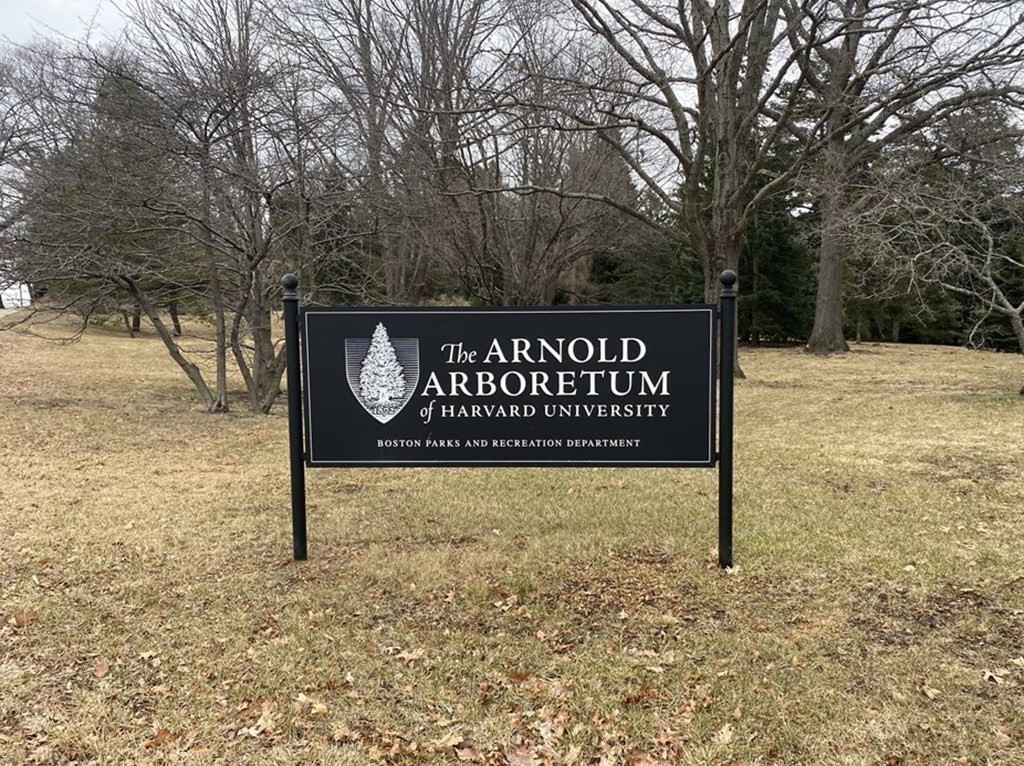 206 Allandale Road, Unit 2D Boston, MA 02467 - Photo 35 of 39 a view of a street sign under a large tree