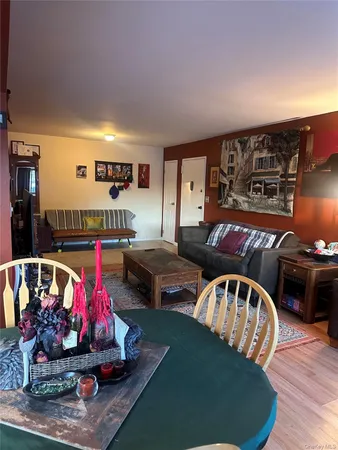 a living room with lots of furniture