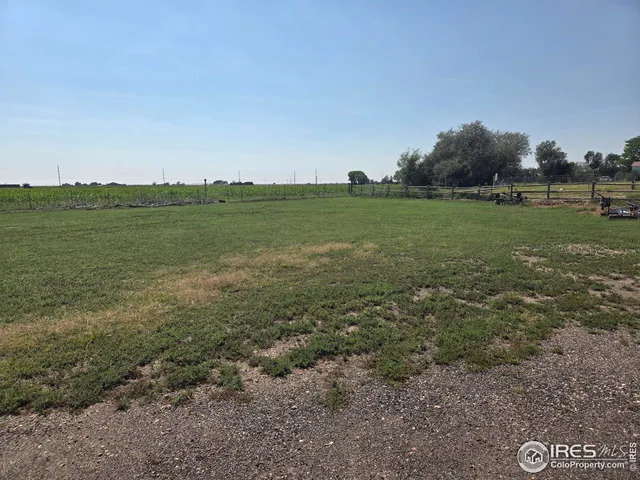 a view of a field with grass and trees