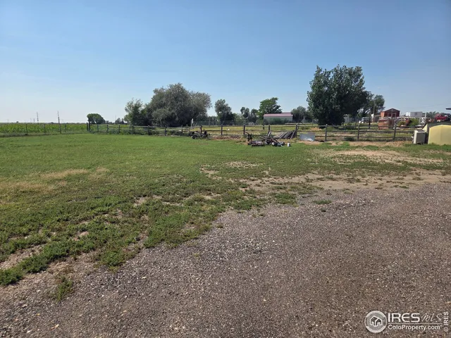 a view of a field with an trees