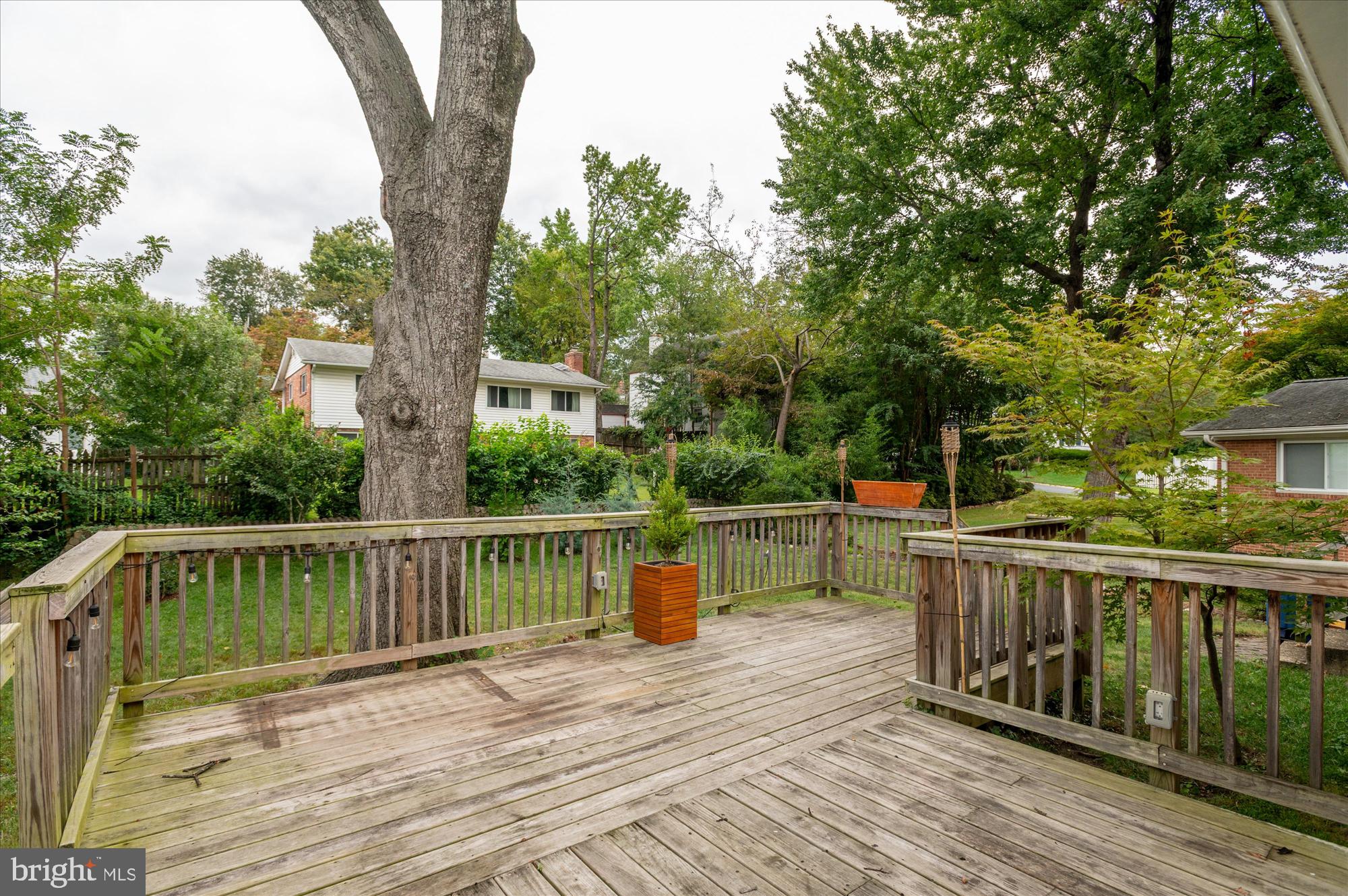 9834 Cherry Tree Lane Silver Spring, MD 20901 - Photo 33 of 41 Gallery Image 33