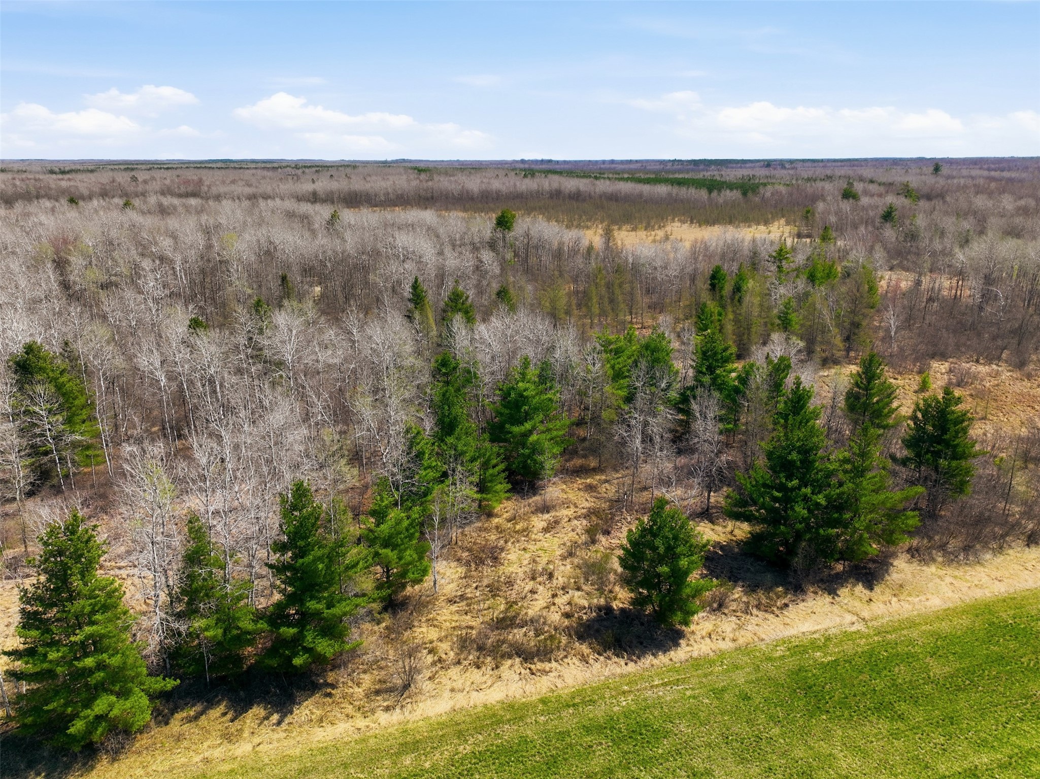 N4280 County Road East Bruce, WI 54819 - Photo 15 of 49