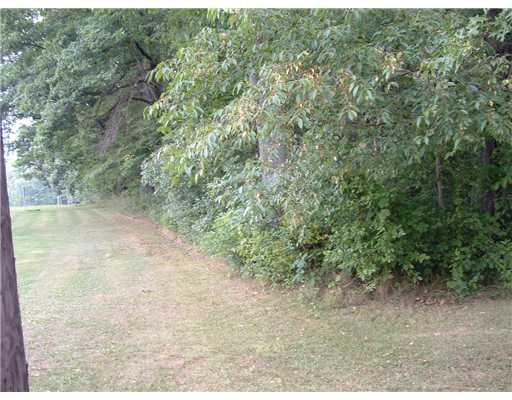 413 Meadow Mist Road Pulaski, PA 16143 - Photo 11 of 17 Exterior Back. Rear property line woods is on seller s property