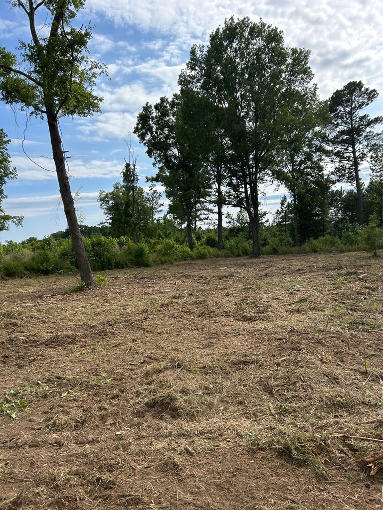 6395 Dinkins Mill Road Rembert, SC 29128 - Photo 4 of 7