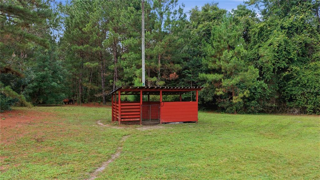 17900 Northwest 120th Avenue Road Reddick, FL 32686 - Photo 9 of 45 a view of a field with a tree