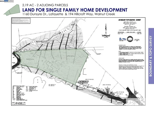 a green field with lots of bushes
